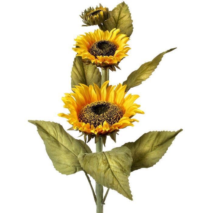 Multi Bloom Sunflower Stem 22"