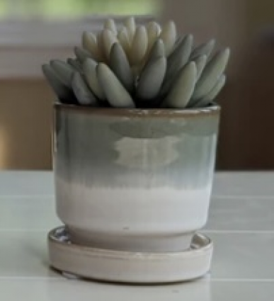 Petite Planters with Saucers 3" x 3" (Sold Separately)