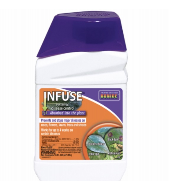 Bonide Infuse Fungicide 16 oz