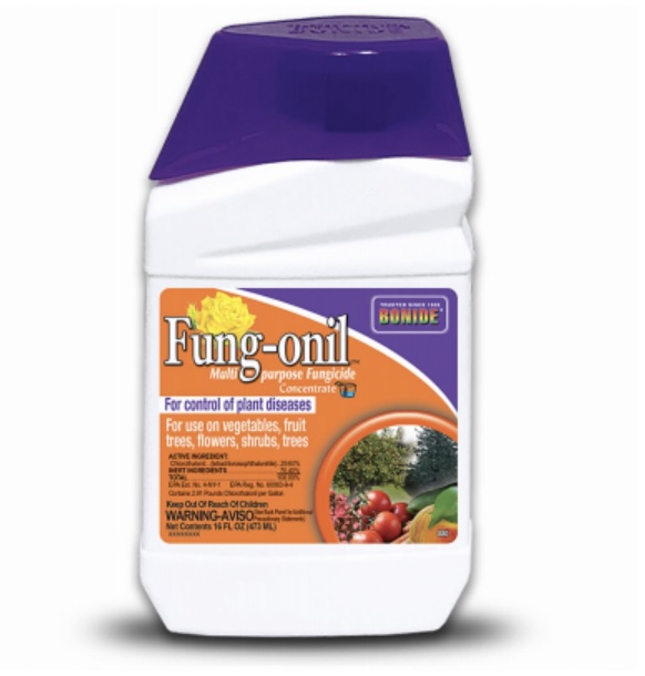 Bonide Fung-onil Fungicide Concentrate 16 oz