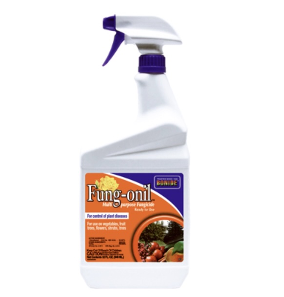 Bonide Fung-onil Multi-Purpose Fungicide Ready to Use Spray 32 oz
