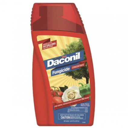 Daconil® Fungicide Concentrate 16 0z