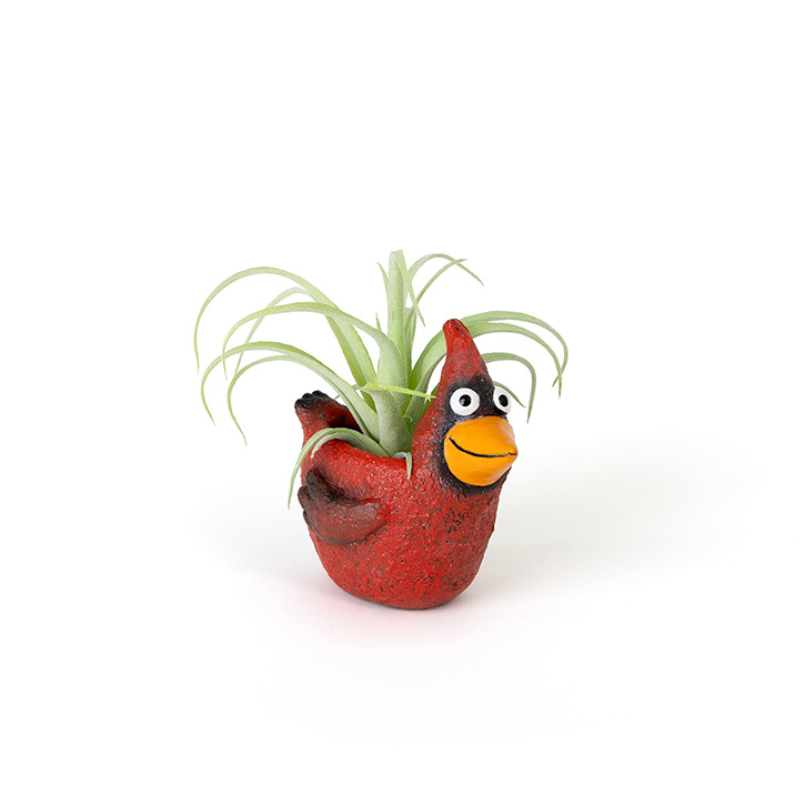 PLANTER, RUBY THE CARDINAL 4"H