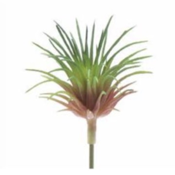 PICK, RED/GREEN AIR PLANT 1.75"H