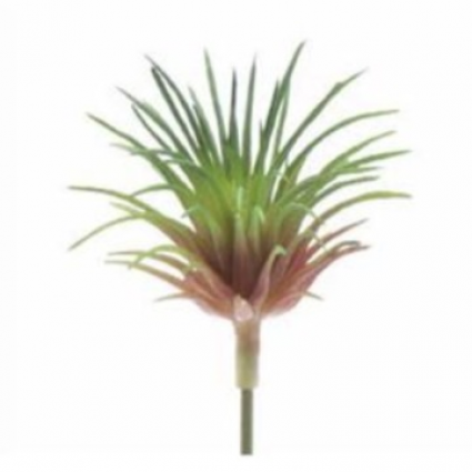 PICK, RED/GREEN AIR PLANT 1.75"H