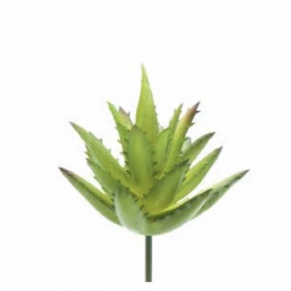 PICK, GREEN ALOE 2.25"H