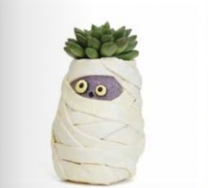 PLANTER, MUMMY MIA 4.5"H