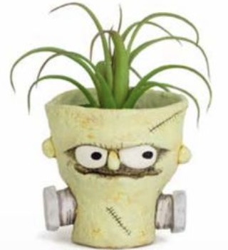 PLANTER, BOLT FRANKENSTEIN 4"H
