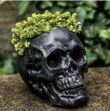 PLANTER, SKULL 11#