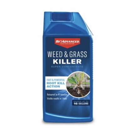 BioAdvanced Weed & Grass Killer 32oz