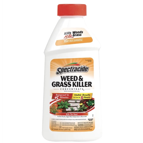 Spectracide Weed & Grass Killer Concentrate 16oz