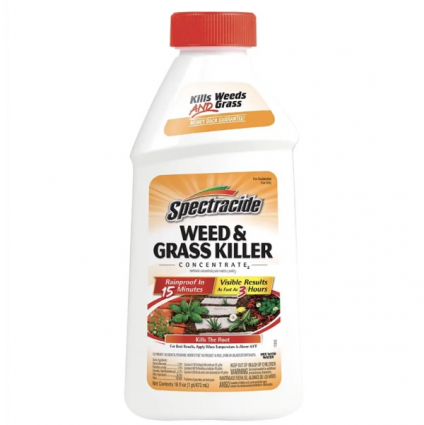 Spectracide Weed & Grass Killer Concentrate 16oz