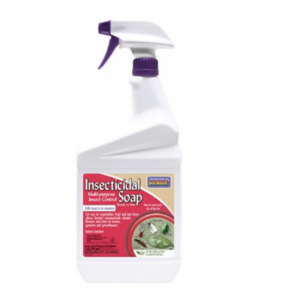 Insecticidal Soap Ready to Use 32 oz