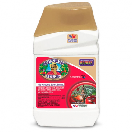 Captain Jacks DeadBug Brew® Concentrate 16 oz