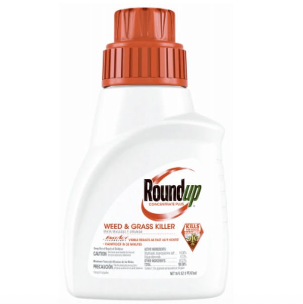 ROUNDUP WGK PLUS 16OZ CONC