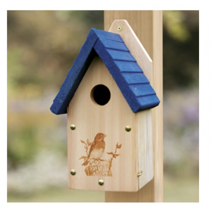 Garden Blue Bird Birdhouse
