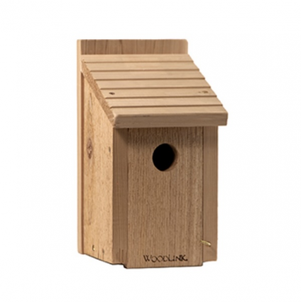 Bluebird House DIY Craft Kit