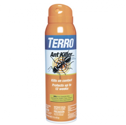 ANT KILLER AEROSOL SPRAY 16 OZ