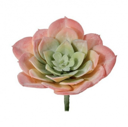 PICK, 4.5" HEN SUCCULENT DESERT