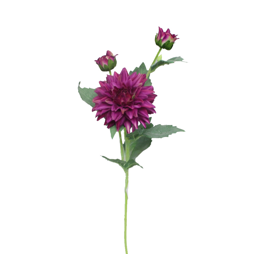 SPRAY, 24" FUCHISA DAHLIA