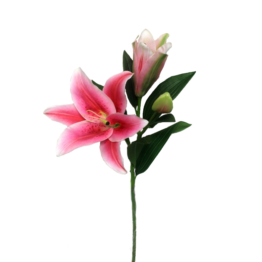 SPRAY, 35" CASABLANCA LILY