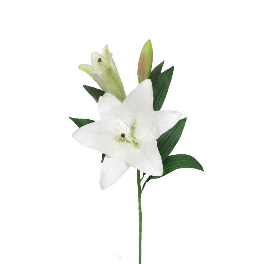 SPRAY, 35" CASABLANCA LILY WHITE