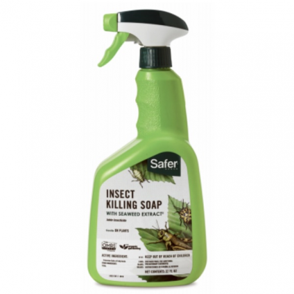 Safer Organic Insecticidal Soap 24 oz RTU 