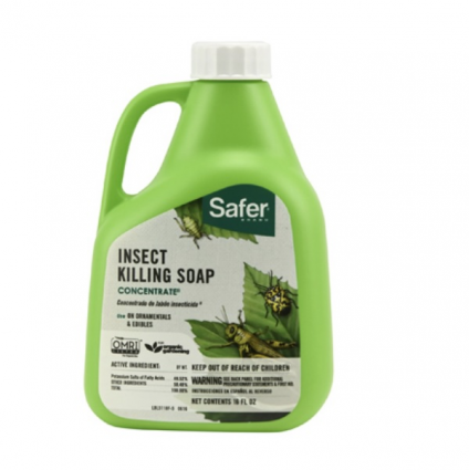 Safer Insecticidal Soap Concentrate 16 oz 