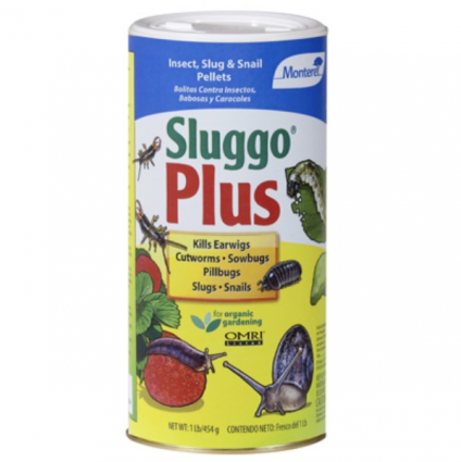 Sluggo Plus Slug & Snail Killer 1 lb 