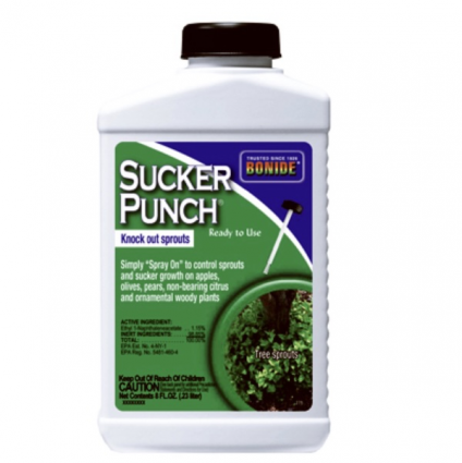 Bonide Sucker Punch® RTU  8 oz