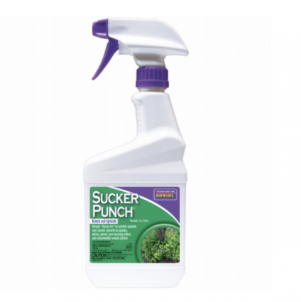 Bonide Sucker Punch® RTU  16 oz