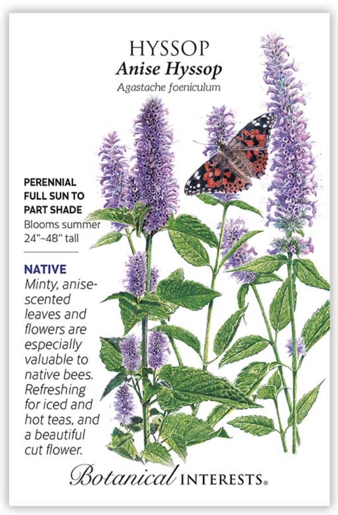 Anise Hyssop Seeds