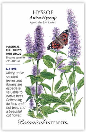Anise Hyssop Seeds