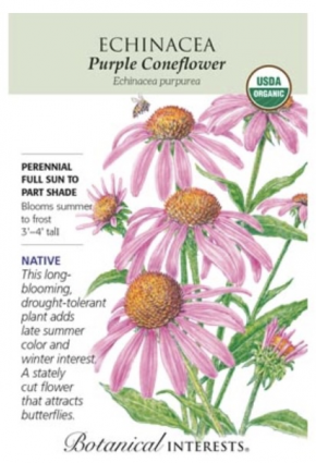 Purple Coneflower Echinacea Seeds