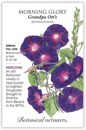 Grandpa Ott's Morning Glory Seeds