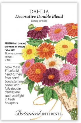 Decorative Double Blend Dahlia Seeds