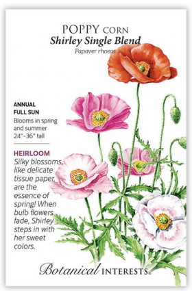 Shirley Single Blend Corn Poppy Seeds