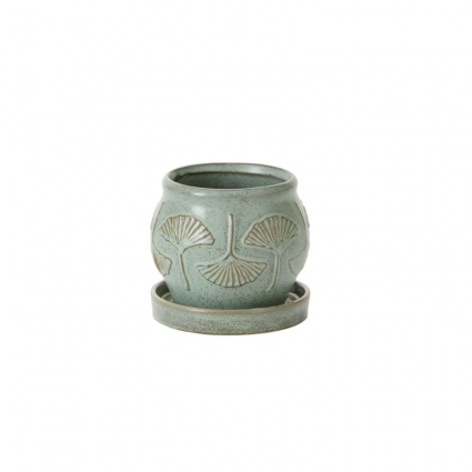 Green Biloba Pot with Saucer 