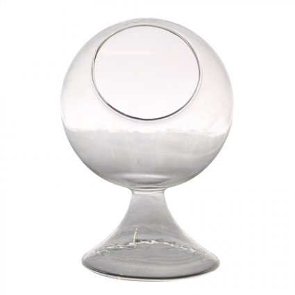 TERRARIUM, SOLE SM ROUND GLASS