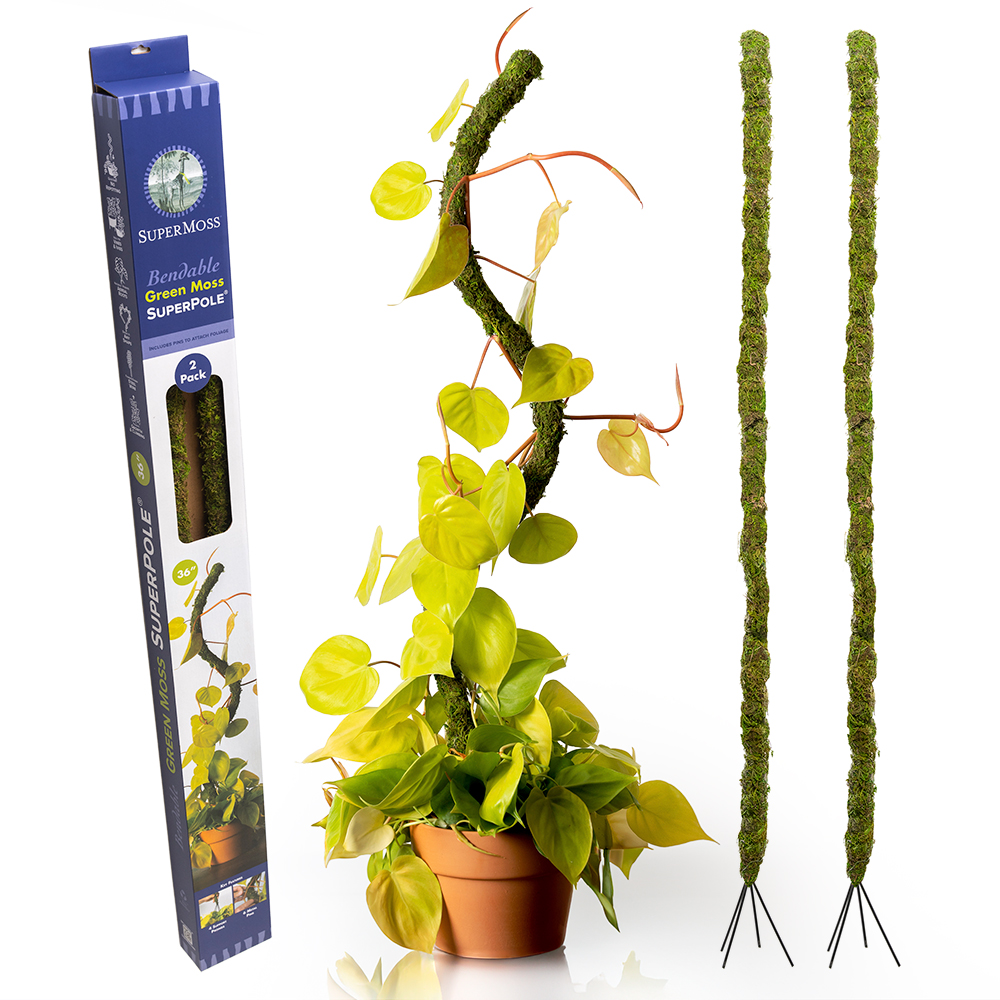 BENDY MOSS POLE 36"