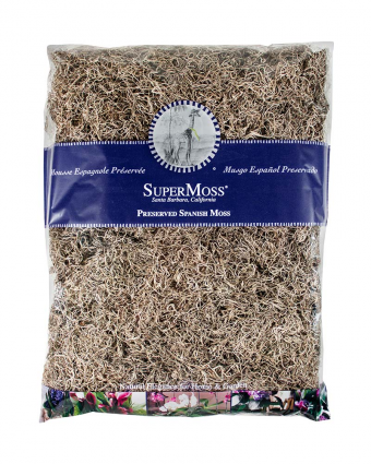 SPANISH MOSS PR BG32 NA