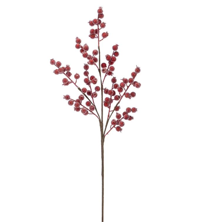 SPRAY, RED ICED BERRY