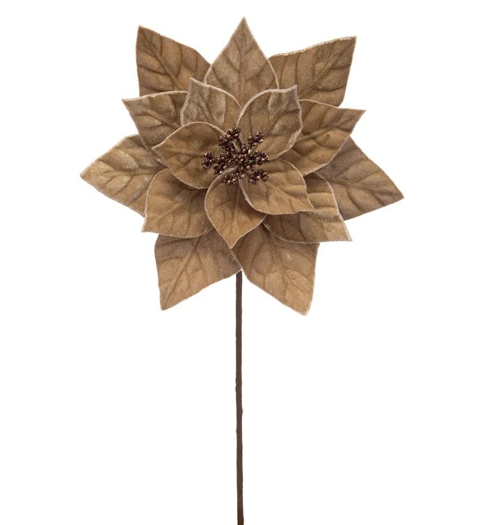 PICK, TAUPE POINSETTIA