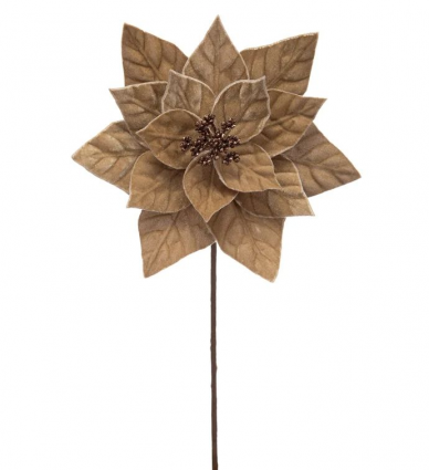 PICK, TAUPE POINSETTIA