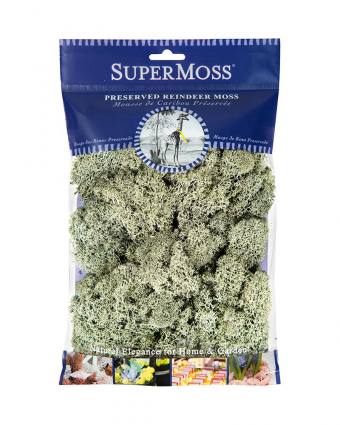 REINDEER MOSS PR HB2 MG