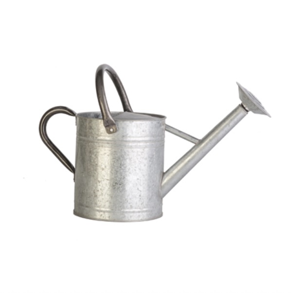  Vintage Galvanized Watering Can 1 Gallon