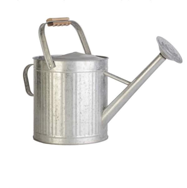 Galvanized Steel Watering Can 2 Gallon