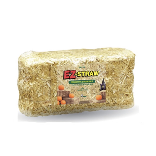 Decorative Mini Straw Bale
