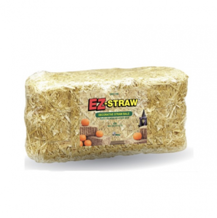 Decorative Mini Straw Bale