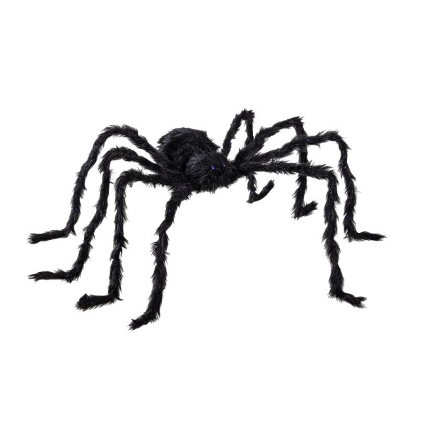 SPIDERS &amp; WEBS